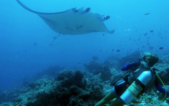 Devils, Mozambique, Manta Ray