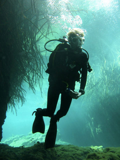 CASA CENOTE, TANKAH, MEXICO Scuba Diving Casa Cenote Mangrove - Buceo