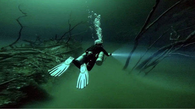 Cenote Angelita Scuba Diving