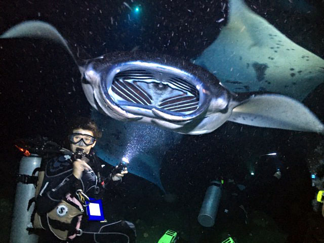 Manta Ray Night Diving, Kona, Big Island, Hawaii, United States Manta Ray Night Dive, Kona, Big Island, Hawaii, USA