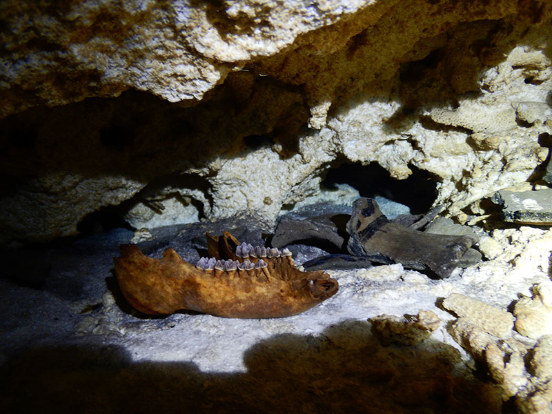 Ancient Skeletons in Calavera Cenote