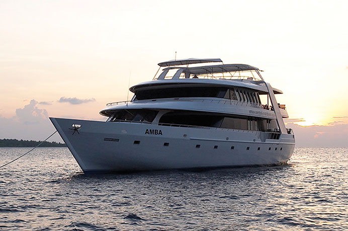 MV Amba Liveaboard Amba