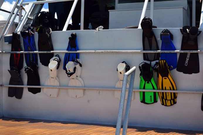 Bahamas Aggressor Liveaboard Dry Dive Gear Bahamas Aggressor Liveaboard Dry Dive Gear