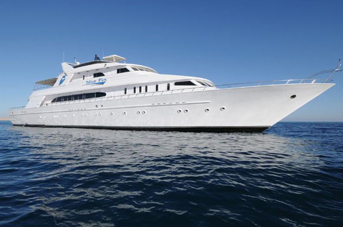 Blue Fin Liveaboard Blue Fin