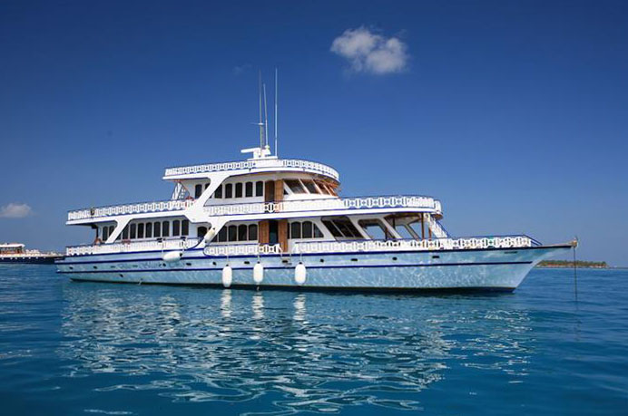 Blue Shark 2 Liveaboard Blue Shark 2