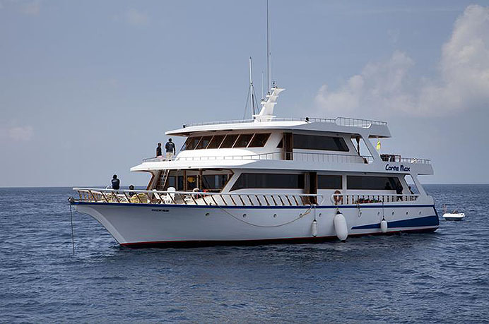 M/Y Conte Max Liveaboard Conte Max