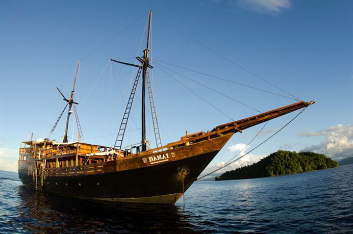 MY Damai I Liveaboard Damai I