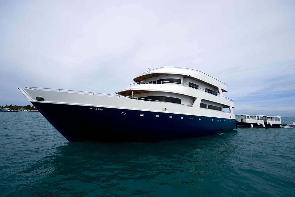 M/V Dream Catcher 2 Liveaboard Dream Catcher 2