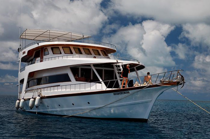 Sheena Liveaboard Sheena