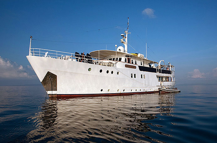 MV Pelagian Liveaboard Pelagian