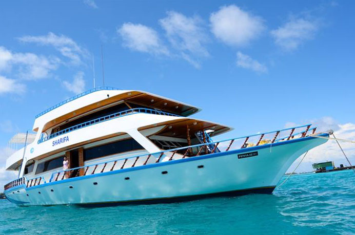 MV Sharifa Liveaboard Sharifa