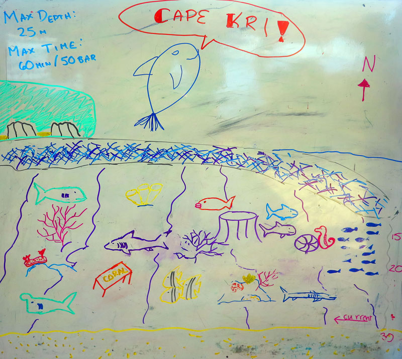 Cape Kri, Raja Ampat, Diving Map Cape Kri Dive Site Map