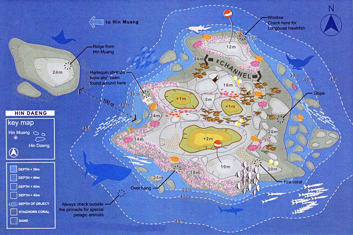 Hin Daeng Diving Map Hin Daeng Dive Site Map