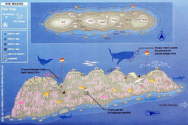 Hin Muang Map Hin Muang Dive Site Map